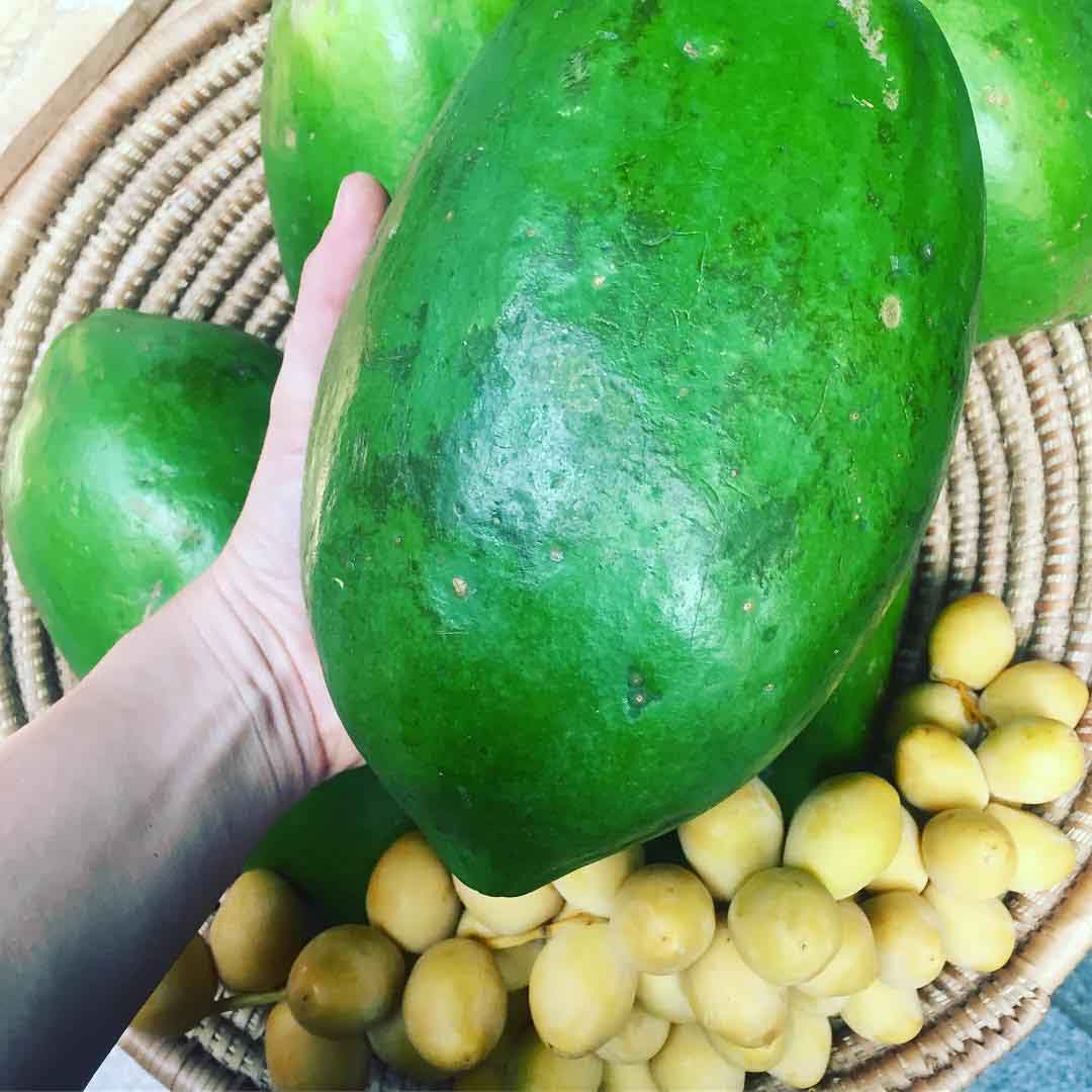 Fruits and Vegetables Export AGRITRADE Uganda Exports