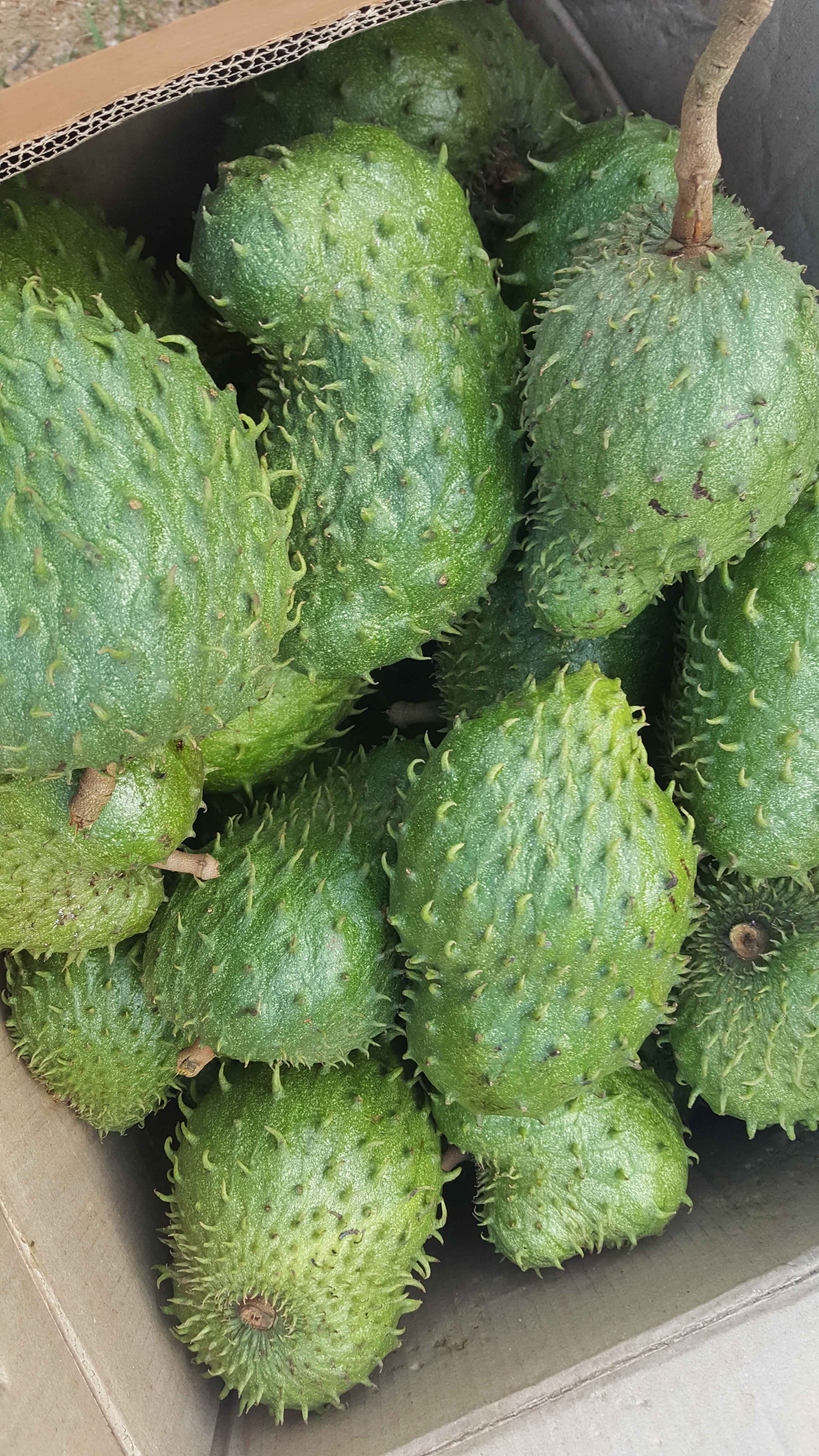 Fruits and Vegetables Export AGRITRADE Uganda Exports