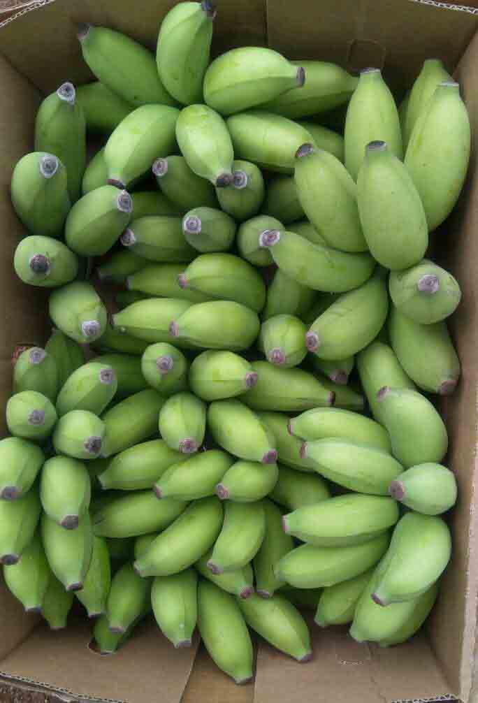 Fruits and Vegetables Export AGRITRADE Uganda Exports